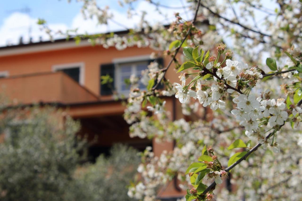 Villa Arancia Quiet, Central, Parking And Air Conditioning Levanto Bagian luar foto