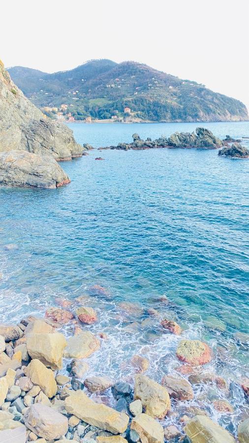 Villa Arancia Quiet, Central, Parking And Air Conditioning Levanto Bagian luar foto